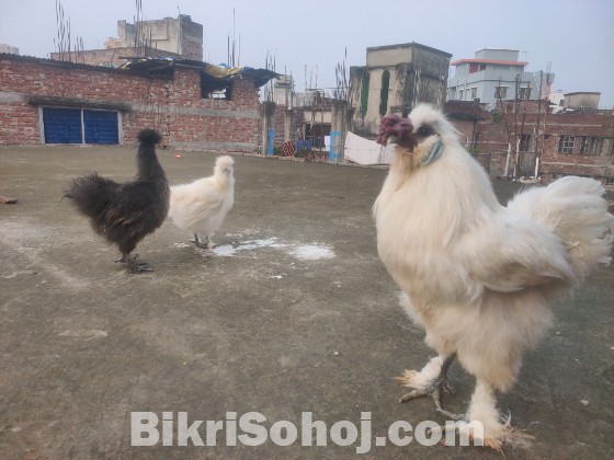 টপ কোয়ালিটি এক সেট সিল্কি